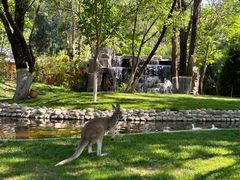 -北京野生动物园