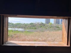 -华侨城湿地公园