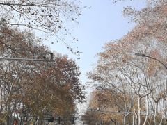 -南京商茂国际酒店(新街口德基广场店)