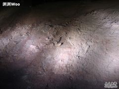 -世界恐龙谷景区