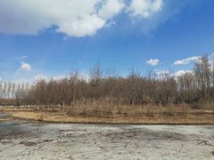 -东郊湿地公园