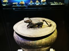 -温州博物馆