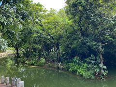 -人民公园(罗湖区)