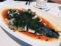 -南麓·浙里(外滩店)