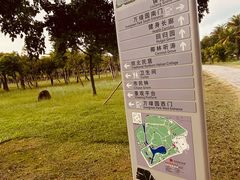 -万绿园