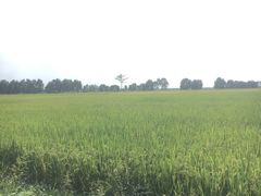 -台山颐和温泉城