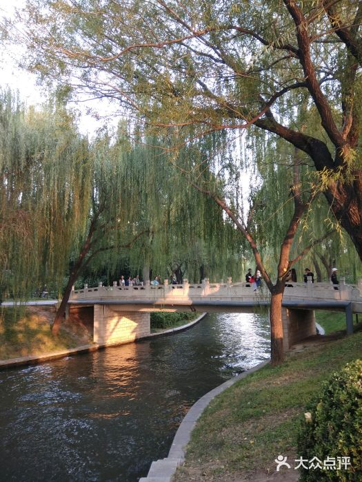 紫竹院公園-圖片-北京景點/周邊遊-大眾點評網