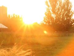 -汉长安城未央宫国家考古遗址公园