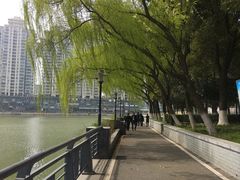 -西北湖绿化广场