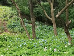 -临平公园(临平街道)