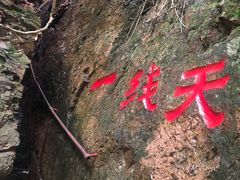 -天女山森林公园