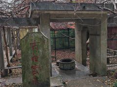 -紫金山山顶公园
