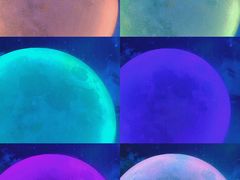 -天津梵高星空艺术馆(天河城旗舰店)