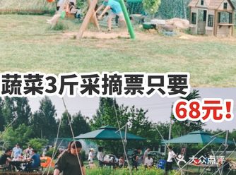 蔬菜3斤采摘票只要68元！
