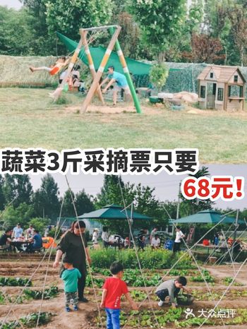蔬菜3斤采摘票只要68元！