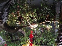 大堂-老阿爸鲜鱼土菜(昆山花桥店)