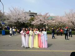 -武汉大学-樱园