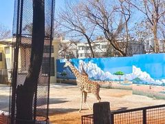 -昆明动物园