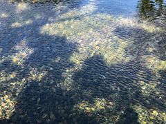 -星巴克(深圳前海企业公馆店)