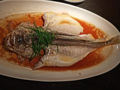 清蒸鲈鱼-小资太太餐厅(南岗区店)