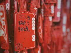 -上海城隍庙