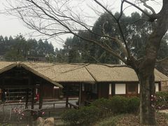 -秀丽东方
