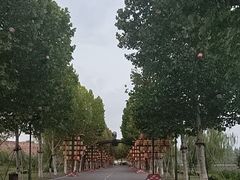 -洋湖国家湿地公园