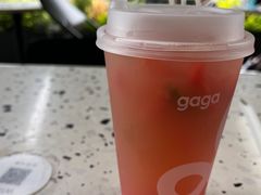 -gaga(深圳南山益田假日广场店)