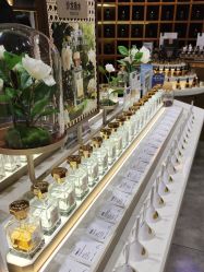 -香遇沙龙香水·调香·团建