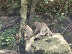 -姑婆山旅游区