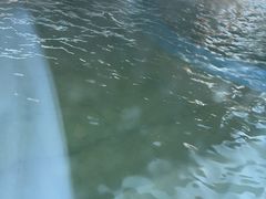 -春晖园度假酒店温泉