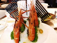 -人间采蜜(海信广场店)