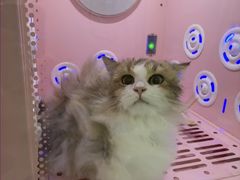 -乐琪宠物医院·犬猫专科·骨外科·急重症