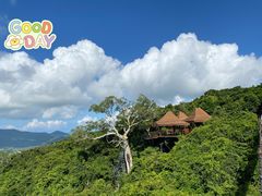 -亚龙湾热带天堂森林公园