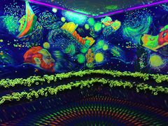 -天津梵高星空艺术馆(天河城旗舰店)