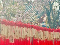 -天津大悲禅院