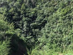 -灵山