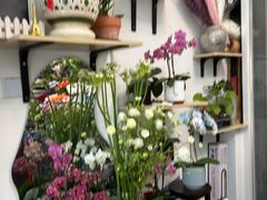 -FEI FEI FLOWER鲜花店·气球派对·宝宝宴布置(虹口德必运动Loft店)