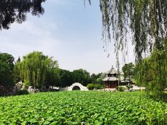 -莲池书院博物馆