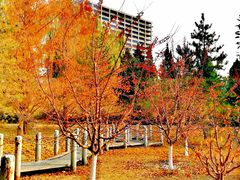 -元大都城垣遗址公园