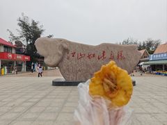 -江山半岛白浪滩景区