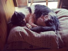 iphone_upload_pic-MIKAKU(万达广场上海宝山店)