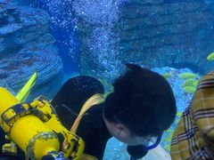 -烟台海昌鲸鲨海洋公园