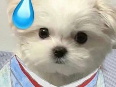 -歌库K馆量贩KTV(万达广场店)