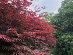 -北仑森林植物园