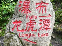 -汤旺河林海奇石景区