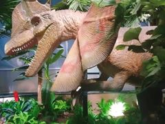 -西峡恐龙遗迹园