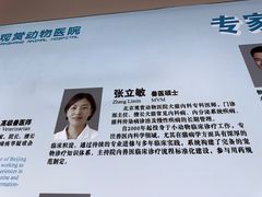 -北京观赏动物医院·24小时大型综合·猫专科·异宠专科
