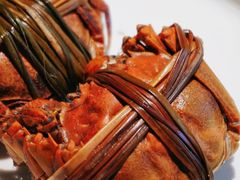 -同福龙虾(高新店)