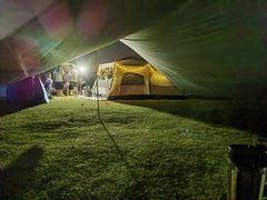 -春花秋色城市公园